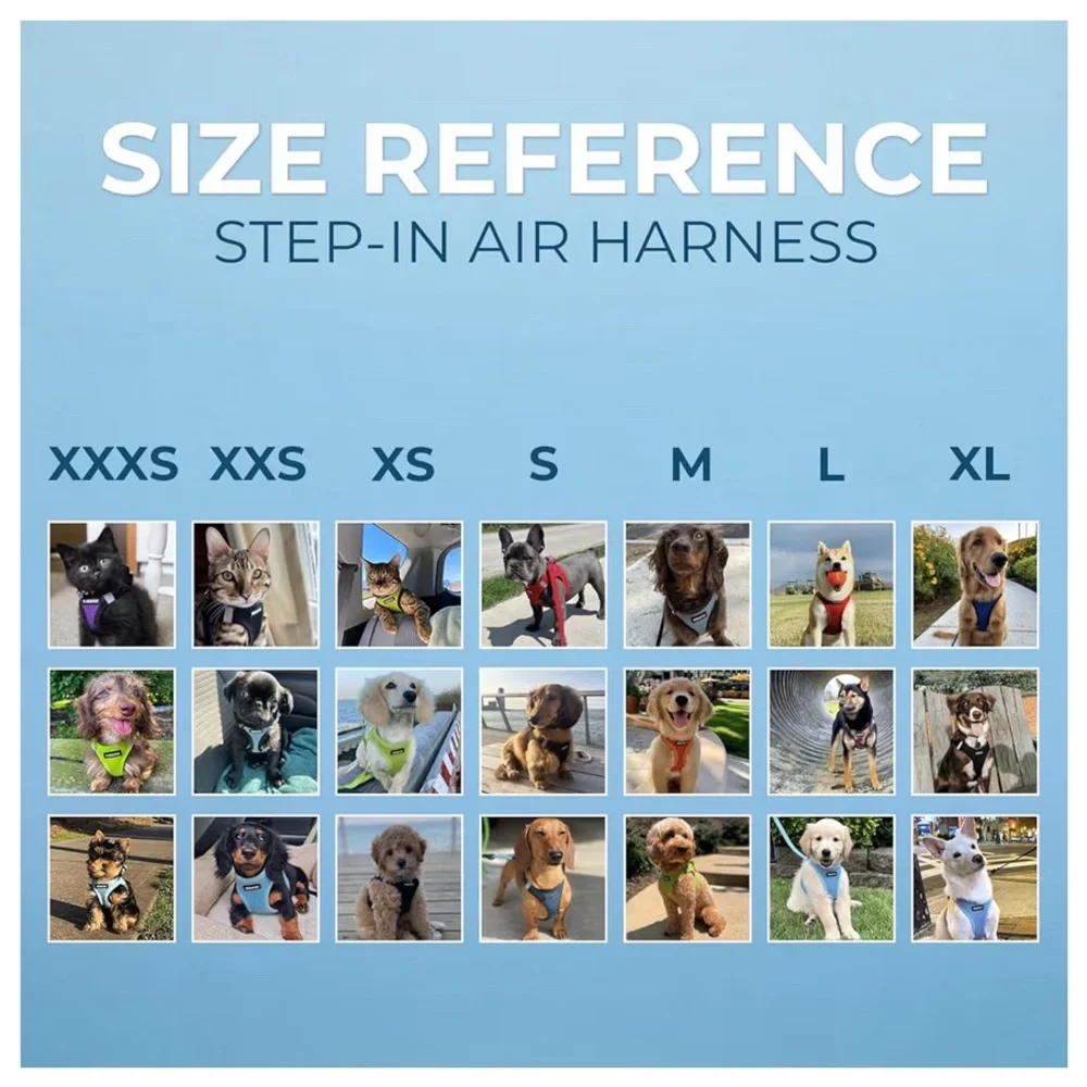 Baby Blue Breathable Mesh Step In Dog Harnesses, 2 available size M - Picture 6 of 12